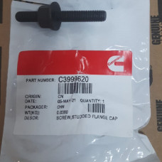 Болт крышки впускного коллектора (M8х1.25х30) C3999620 L