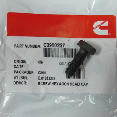 Болт (M8х1.25х22) C3900227
