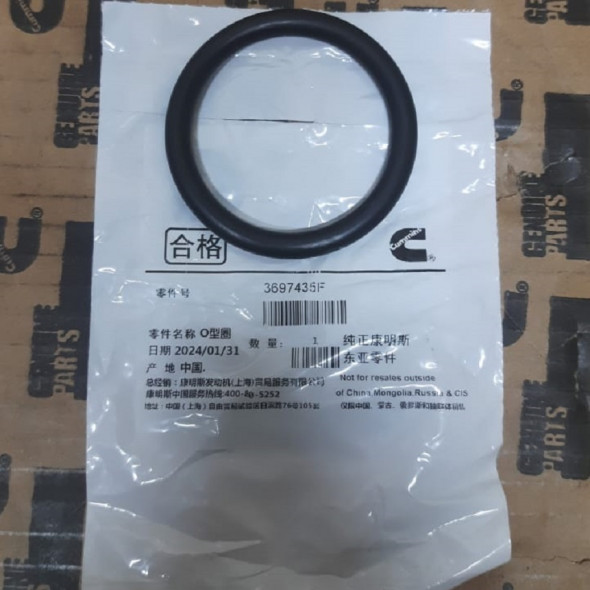 Уплотнительное кольцо (O-Ring) 3697435F